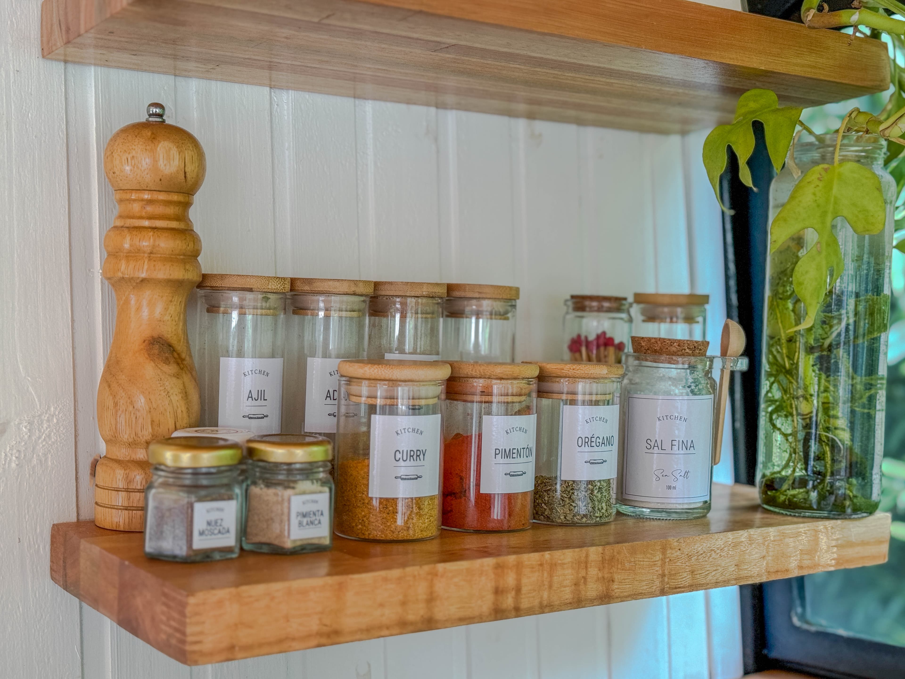 Vista completa de la cocina azul de BondiHouse con ventana al jardín