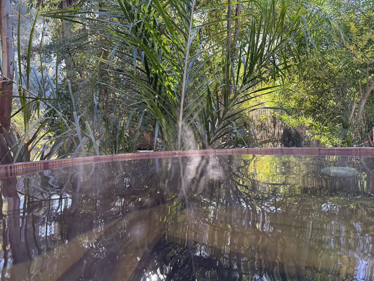 El agua caliente de la tina de madera, con vapor subiendo y el reflejo de las palmeras