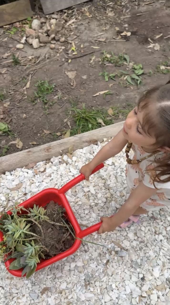 Franca llevando suculentas en su carretilla roja de juguete por el camino de piedras