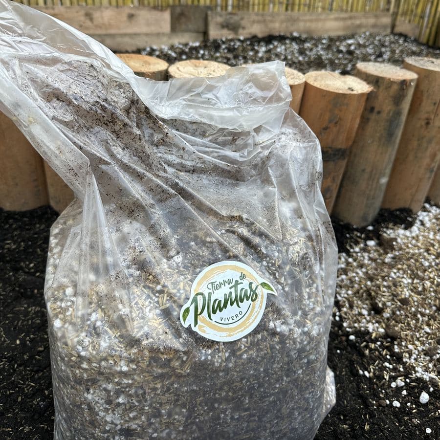 Bolsa abierta de sustrato para cactus con perlita, junto a los polines del cantero