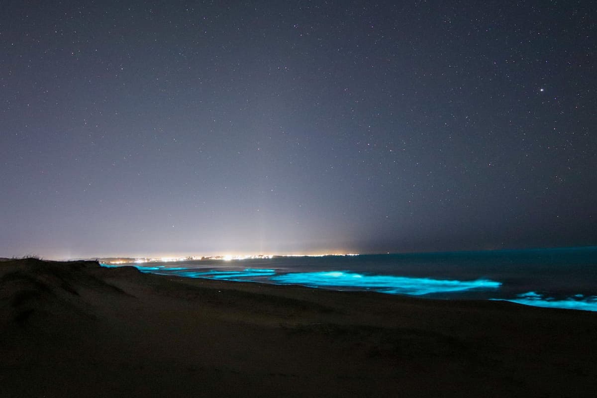Playa de Sauce de Portezuelo de noche, con el resplandor de las luces de Punta del Este en el horizonte